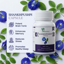 AI Generated Full-Bleed Shankhpushpi Brochure.webp