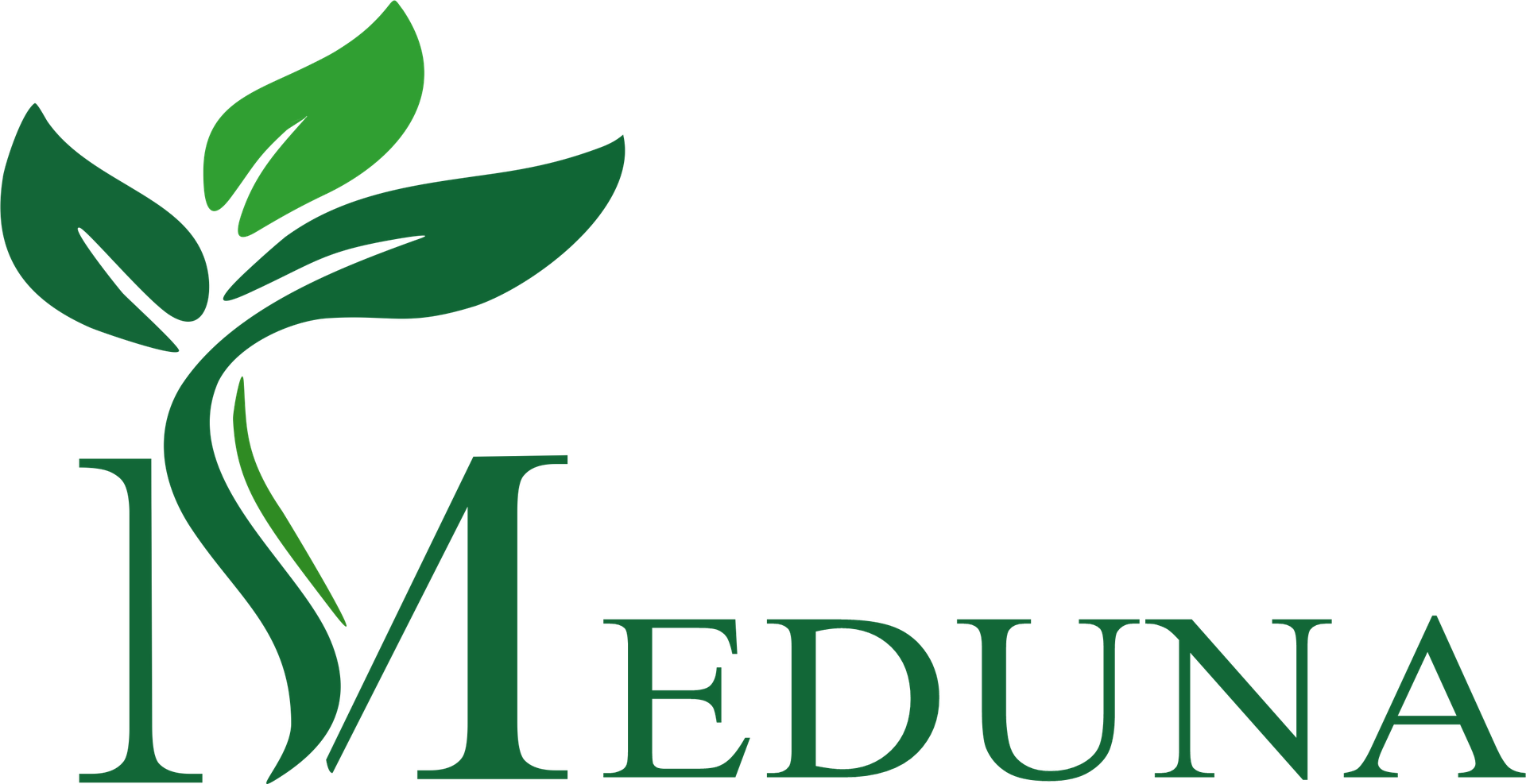 medunapharmaceuticals.in